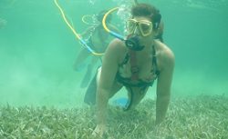 Costa Maya Snuba Diving cruise excursion